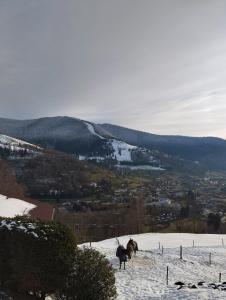 Gallery image of Maison de montagne avec vue panoramique in Bussang +20 photos