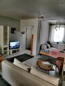 ein Wohnzimmer mit einem Sofa und einem TV in der Unterkunft Urocze studio w sercu Cieplic in Cieplice Śląskie Zdrój