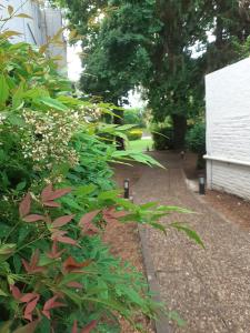 einen Garten mit grünen Pflanzen neben einem Gebäude in der Unterkunft Hotel Palmar in Colón