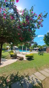 Gallery image of Hotel Palmar in Colón