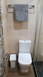 a small bathroom with a toilet and a shower at Apartamento PB 30min Sagrada Familia, 10 min playa in Badalona