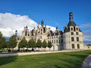un gran castillo con un campo de hierba delante de él en Le Clos de la Déesse, en La Ferté-Saint-Cyr