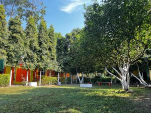 a yard with trees and a red building at THE MYSTIC FOREST-A TEA GARDEN RESORT in Mādāri Hāt