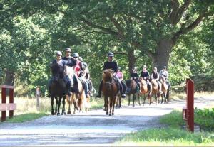 a group of people riding horses down a road at Bysmedjan in Hässleholm