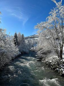 a river with snow covered trees on the side of it at The River Pearl in Val-d'Illiez