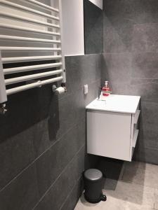 a bathroom with a white sink and a toilet at All-in Penthouseroom in Amsterdam