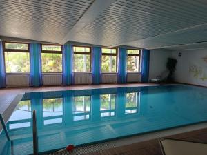 a large swimming pool in a building with windows at Sporthotel Rasen in Rasùn di Sotto
