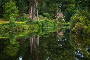 a river with trees and a house in the distance at Leonardslee House at Leonardslee Lakes & Gardens in Horsham