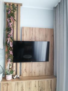 Televízia a/alebo spoločenská miestnosť v ubytovaní Apartament Zielone Wzgórze 2