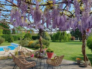 un jardín con glicinas púrpuras colgando de un árbol en Suite spacieuse avec entrée privative en Lédat