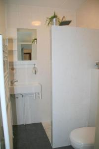 ein weißes Bad mit einem WC und einem Waschbecken in der Unterkunft Schorrebloem 21* in Nieuwvliet
