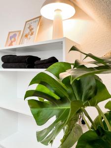 une plante verte assise à côté d'une étagère blanche dans l'établissement Modernes Apartment in Diepholz, à Diepholz