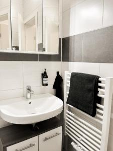 a bathroom with a sink and a mirror at Modernes Apartment in Diepholz in Diepholz