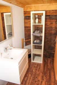 a bathroom with a sink and a mirror at Mys Chalet in Jaun