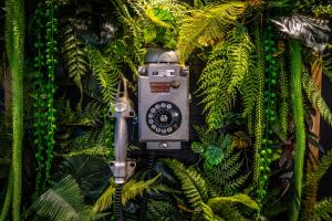 a camera hanging from a tree with plants at Seven Hotel Bytom - Katowice in Bytom