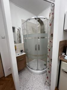 a bathroom with a glass shower and a sink at Baterky in Prague