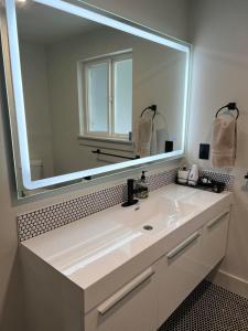 a bathroom with a sink and a large mirror at Private Lake House in Puyallup
