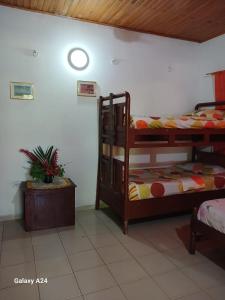 a bedroom with two bunk beds and a potted plant at Hospedaje Eden in Los Naranjos