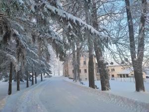 a snow covered street with trees and a building at Hotel Poutní Dům in Králíky