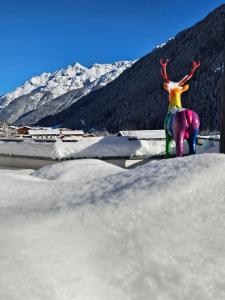 Lyžovanie pri apartmáne alebo v okolí