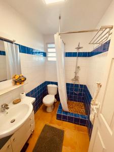a blue tiled bathroom with a toilet and a shower at L'amour à la plage...vue mer exceptionnelle ! in Les Trois-Îlets