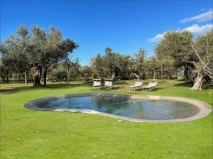 una pequeña piscina de agua en un campo con sillas en Villa Acquabella, en Ortona