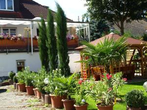 une rangée de plantes en pot devant une maison dans l'établissement Apartment Mengelberg, à Markkleeberg