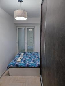 Un dormitorio con una cama con un perro en una manta azul en Lux Apartman, en Strumica