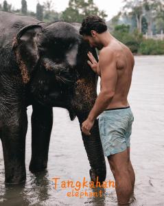 Un homme debout dans l'eau à côté d'un éléphant dans l'établissement JUNGLE LIFE GUEST HOUSE - Trekking & Transport Only Book With Us, à Bukit Lawang