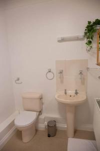 Baño blanco con aseo y lavamanos en A 3 bedroom apartment with parking in central Kingsbridge, en Kingsbridge
