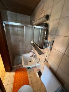 Koupelna v ubytování Pension Aloisl`s Harmonie + 20 fotografií