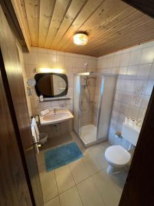 a bathroom with a shower and a toilet and a sink at Pension Aloisl`s Harmonie in Nauders