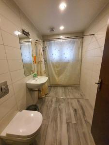 La salle de bains est pourvue de toilettes, d'un lavabo et d'une douche. dans l'établissement Riga,Hospitalu,3, à Riga