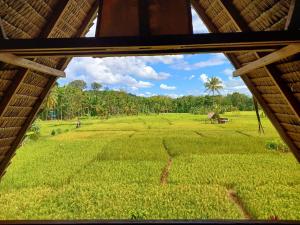 een raam met uitzicht op een groot groen veld bij Tropical Jungle Hut in Bukit Lawang