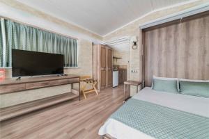 1 dormitorio con 1 cama y TV de pantalla plana en Castle Franco Suites, en Estambul