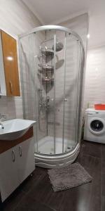 eine Dusche im Bad mit Waschbecken und Waschmaschine in der Unterkunft Full house in Tbilisi City