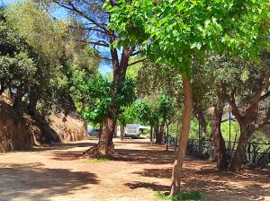 Фотография из галереи Camping Roca Grossa в Калелье