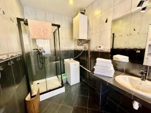 y baño con ducha, lavabo y aseo. en Apartament Vistula Centrum 4, en Wisła