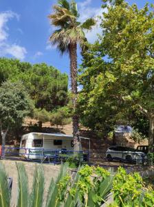 una palmera y un remolque en un estacionamiento en Camping Roca Grossa, en Calella