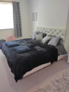 a large bed with blue pillows on it in a bedroom at Modern 2 bed house sleeps 6 in Portsmouth