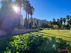 Zahrada ubytování El Oasis