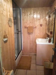 La salle de bains est pourvue d'une douche et d'un lavabo. dans l'établissement Charmant duplex 70m2,type châlet savoyard, à Bourg-Saint-Maurice