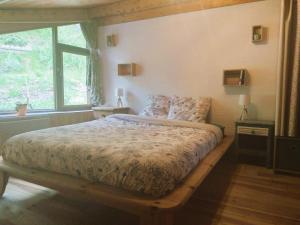 een slaapkamer met een bed in een kamer met een raam bij Charmant duplex 70m2,type châlet savoyard in Bourg-Saint-Maurice