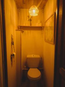 une petite salle de bains avec toilettes et lumière dans l'établissement Charmant duplex 70m2,type châlet savoyard, à Bourg-Saint-Maurice