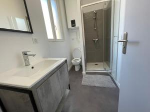 y baño con lavabo, ducha y aseo. en Le gambetta Hypercentre-Calme-wifi en Saint-Étienne
