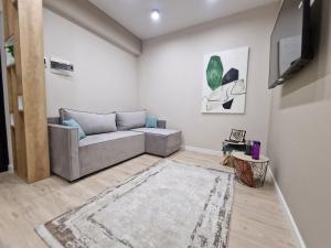 a living room with a couch and a tv at KSY Hotel Family Stay in Tbilisi City