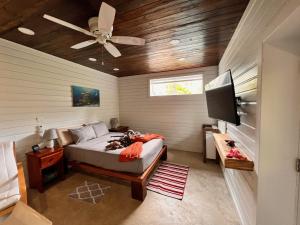 Schlafzimmer mit einem Bett und einem Deckenventilator in der Unterkunft La Vida Belize - Studio in Riversdale