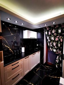 Nhà bếp/bếp nhỏ tại Apartament Górski Potok Murzasichle Apartamenty Murzasichle PL
