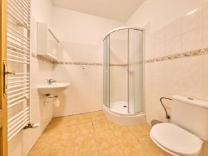 W łazience znajduje się prysznic, toaleta i umywalka. w obiekcie Apartment Koreff-2 by Interhome w Jańskich Łaźniach