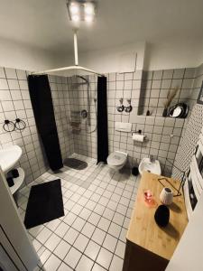 a bathroom with a shower and a sink and a toilet at Gemütliches Galerie Apartment in Bad Säckingen